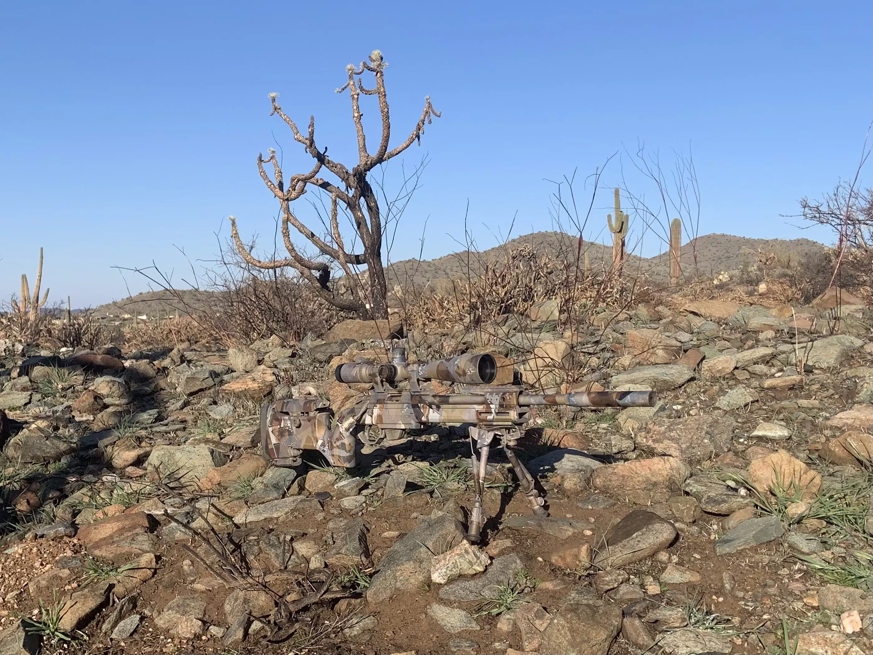 Carnimore custom build showcasing expert craftsmanship and professional finishing services in Arizona